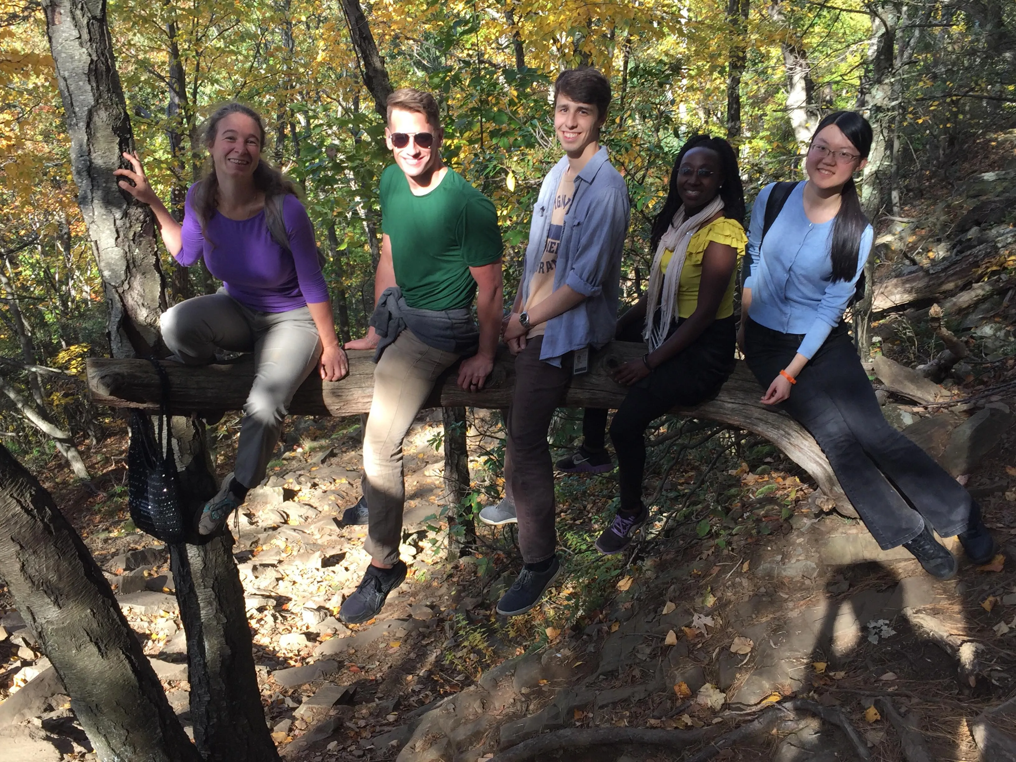 the group